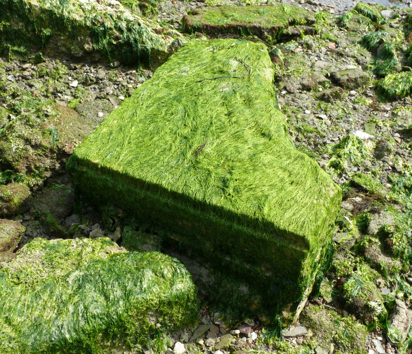 P1310961